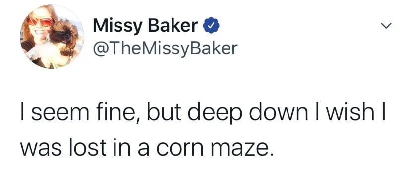 corn maze lost funny autumn fall meme, lost in corn maze funny autumn fall meme, maize maze funny autumn fall meme, funny autumn corn maze fall tweet meme