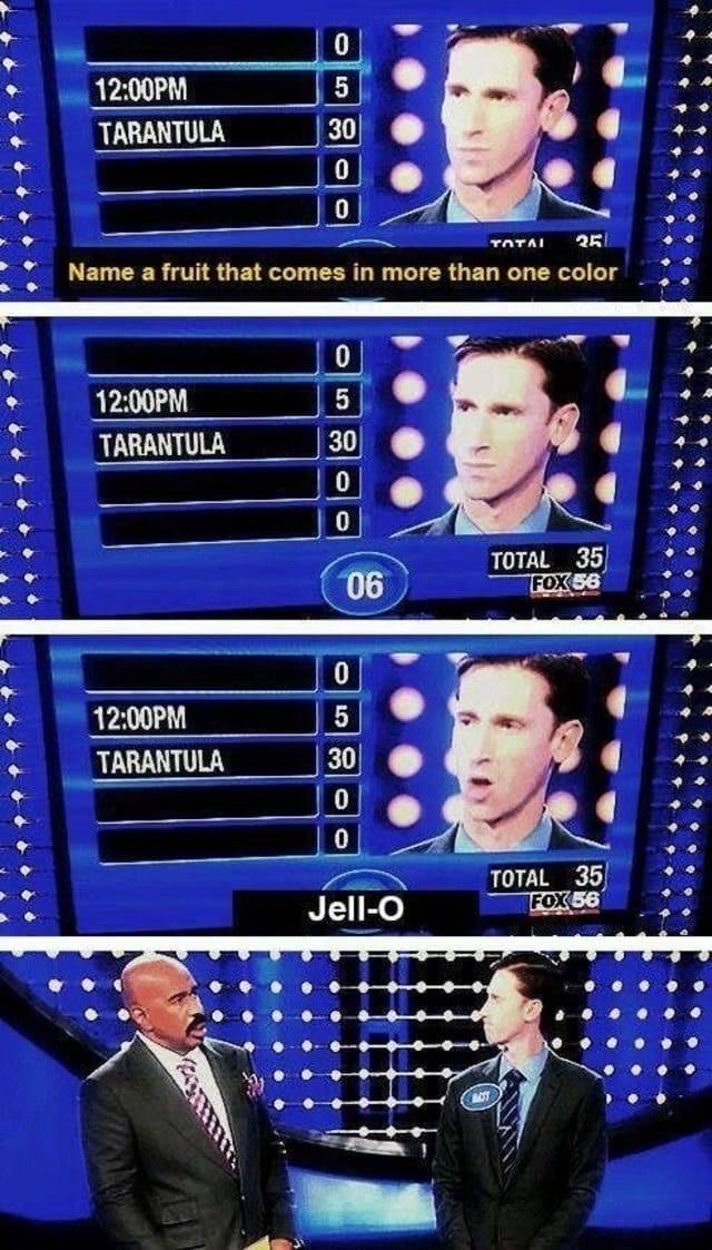 family feud funny, family feud fails, family feud funny answers