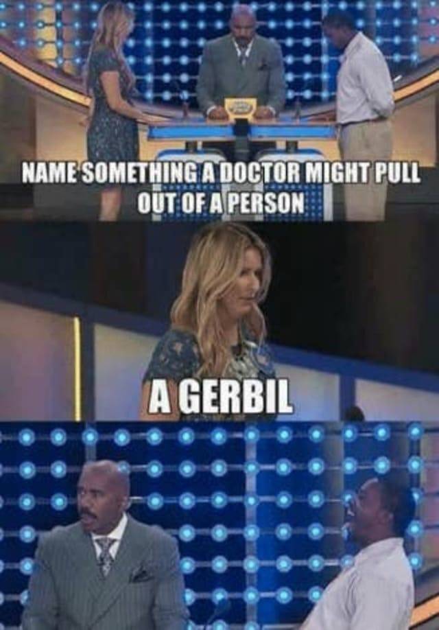 family feud funny, family feud fails, family feud funny answers