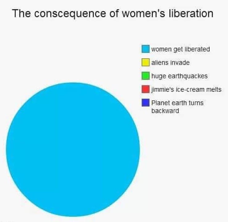 women's liberation pie chart feminist meme, women's liberation feminist meme, funny pie chart feminist meme, pie chart feminist meme