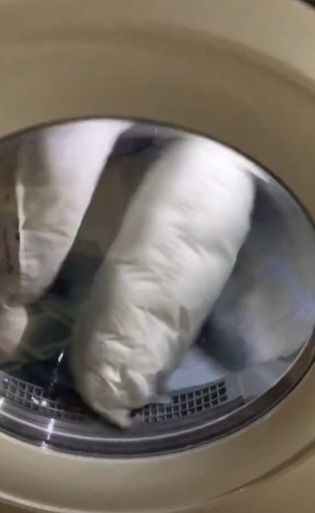 image of pillows in a drier