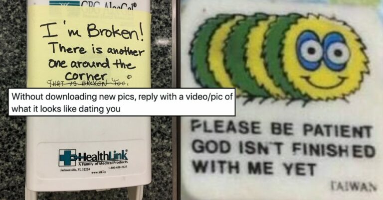 People Share Pics Of What Dating Them Is Like Based On What’s In Their Camera Roll (25 Tweets)