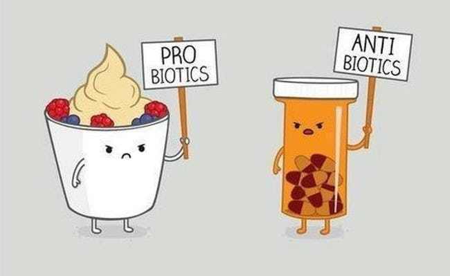 probiotics science meme, anti biotics science meme, pro biotics science meme, antibiotics science meme