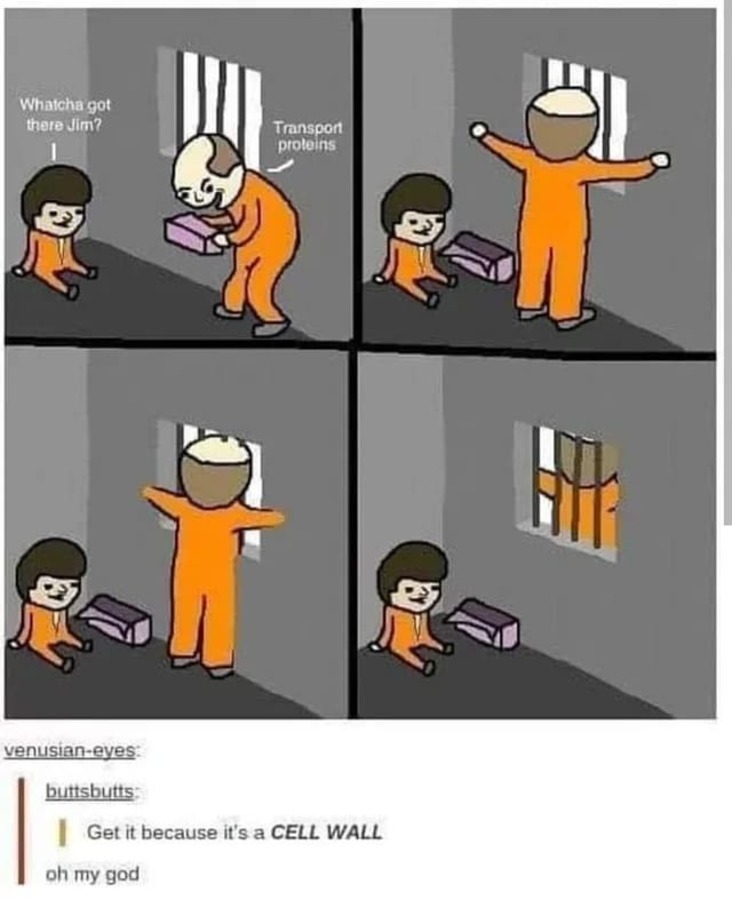 transport proteins science meme, cell wall science meme, funny cell wall science meme