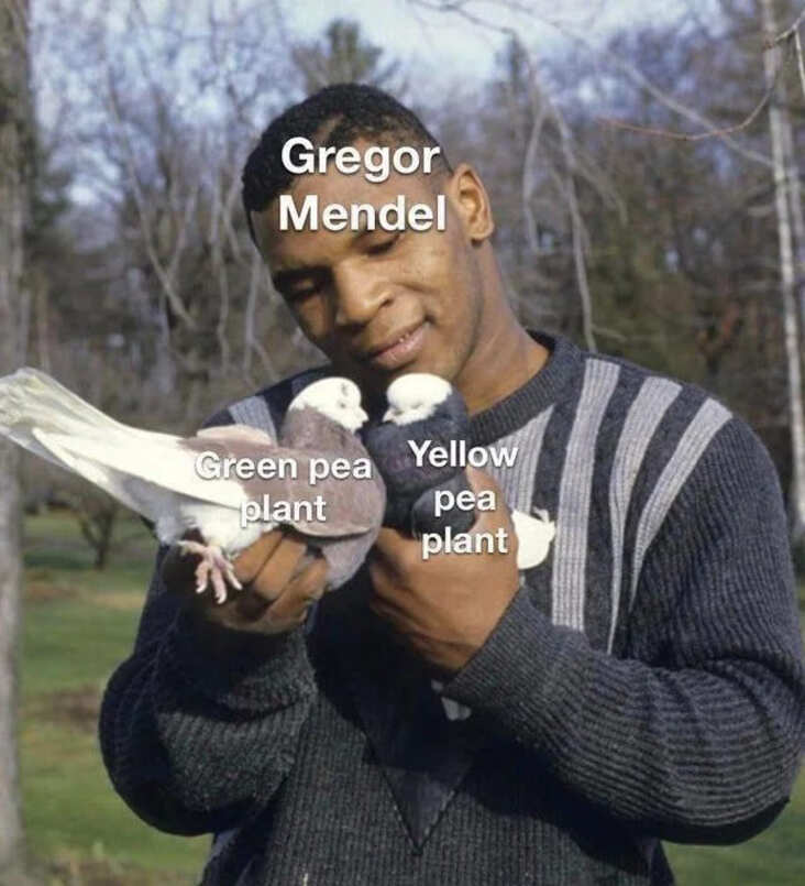 mendel science meme, funny gregor mendel science meme, mike tyson pigeons science meme, mendel pigeons science meme