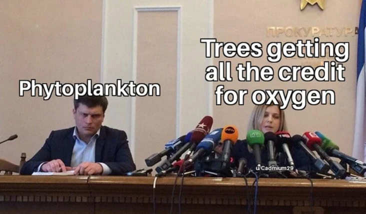 trees hogging credit science meme, funny trees hogging credit science meme, science meme, science memes, funny science meme, funny science memes, meme science, memes science, meme about science, memes about science, science related meme, science related memes, nerdy science meme, nerdy science memes, funny nerdy meme, funny nerdy memes, nerdy meme, nerdy memes, science joke, sciences jokes, joke about science, jokes about science, science joke meme, science joke memes, clever science meme, clever science memes, smart science meme, smart science memes