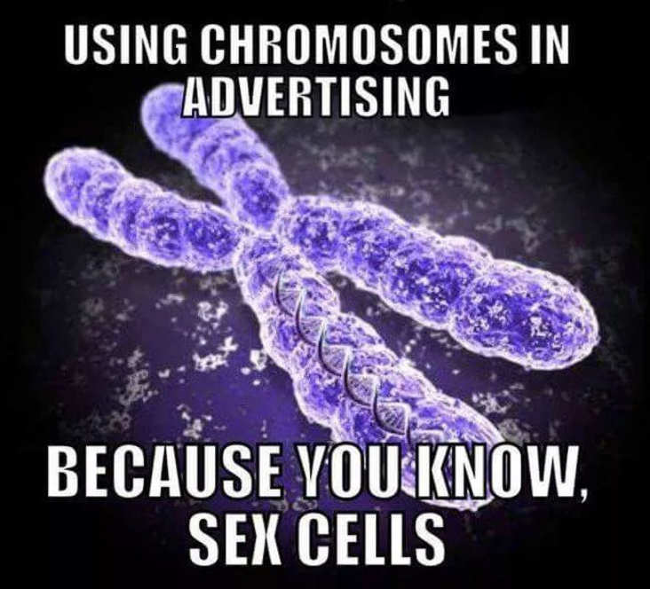 sex cells science meme, funny sex cells science meme, funny sexy science meme, science meme, science memes, funny science meme, funny science memes, meme science, memes science, meme about science, memes about science, science related meme, science related memes, nerdy science meme, nerdy science memes, funny nerdy meme, funny nerdy memes, nerdy meme, nerdy memes, science joke, sciences jokes, joke about science, jokes about science, science joke meme, science joke memes, clever science meme, clever science memes, smart science meme, smart science memes