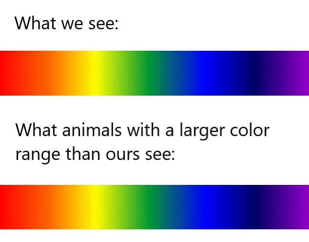 what we see science meme, what we see what other animals see science meme, what colors animals see science meme, funny what colors other animals see science meme, science meme, science memes, funny science meme, funny science memes, meme science, memes science, meme about science, memes about science, science related meme, science related memes, nerdy science meme, nerdy science memes, funny nerdy meme, funny nerdy memes, nerdy meme, nerdy memes, science joke, sciences jokes, joke about science, jokes about science, science joke meme, science joke memes
