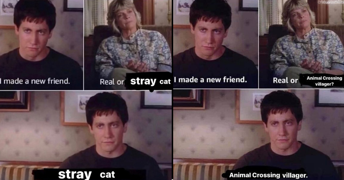 The Donnie Darko I Made A New Friend Meme Forces You To Speak Truth