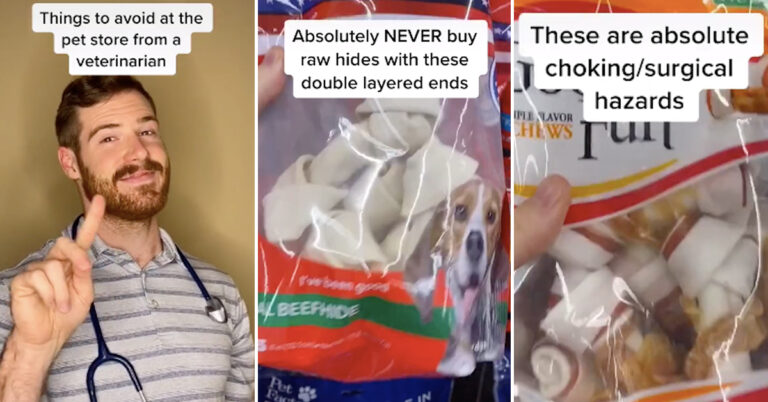 dangerous dog toys tiktok, dog toys tiktok, hunter finn tiktok, veterinarian toys tiktok, vet toys tiktok, veterinarian hunter finn, vet hunter finn tiktok, hunter finn dog toys, vet on tiktok shows dangerous dog toys, dog toys to avoid tiktok, things to avoid in pet store tiktok