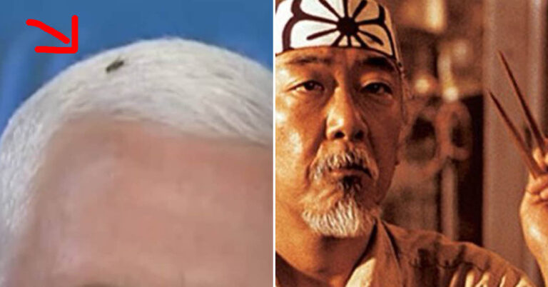 A Fly Landed On Mike Pence’s Hair During The VP Debate, And The Internet Has Jokes (23 Memes)