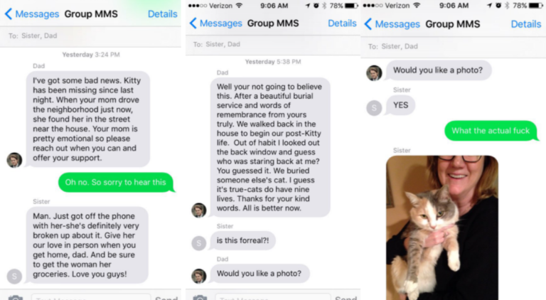 Family Buries Their Dead Cat Only It’s Not Theirs—Or A Cat