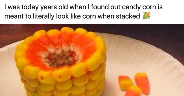 “I Was Today Years Old When I Learned…” (50 Interesting Facts)
