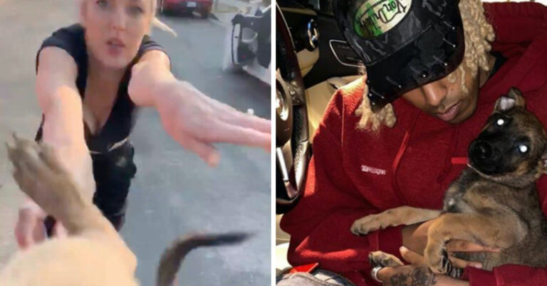 Puppy Thrown By Racist Woman In Viral Video Gets A New Home