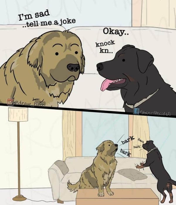 dog meme, dog memes, funny dog meme, funny dog memes, dog meme funny, dog memes funny, funny meme about dogs, funny memes about dogs, hilarious dog meme, hilarious dog memes, dog meme clean, dog memes clean, clean dog meme, clean dog memes, funny dog meme clean, funny dog memes clean, funny clean dog meme, funny clean dog memes