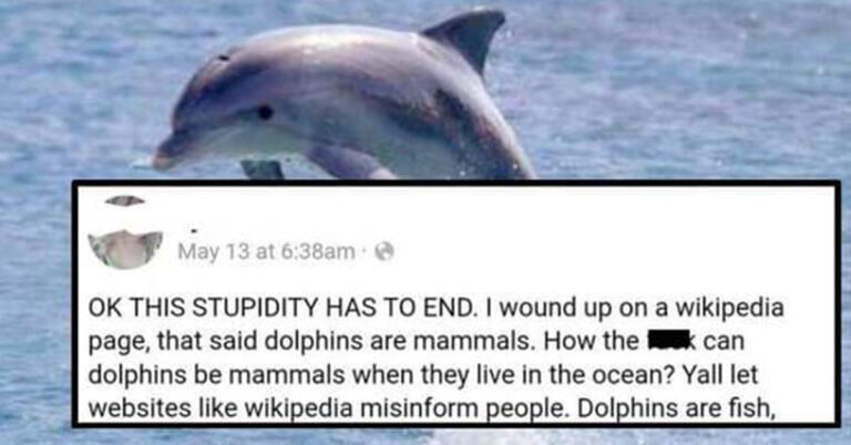 30 Of The Most Confidently Incorrect People In The History Of The Internet