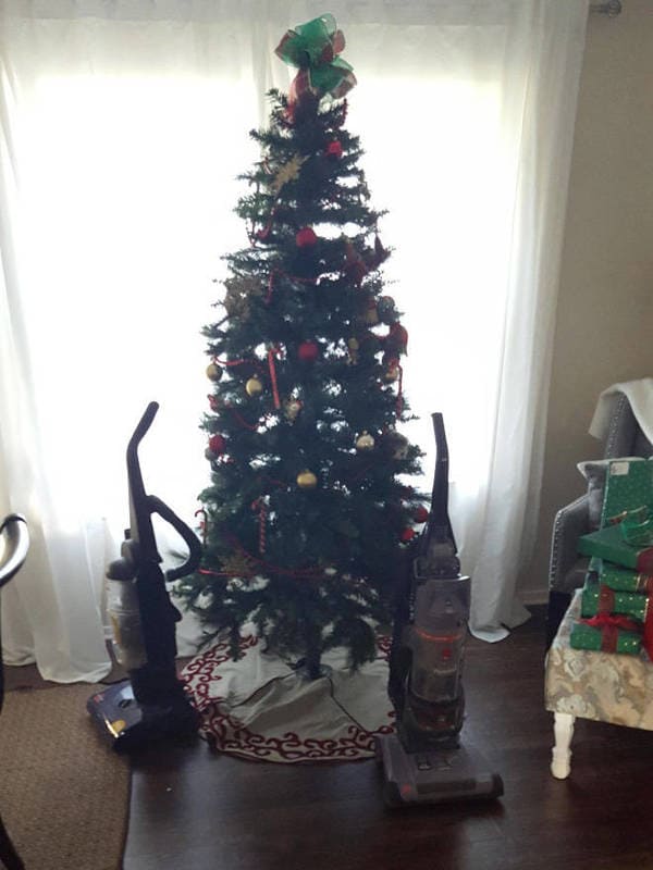 dog proof tree, cat proof tree, Christmas tree protect from pets