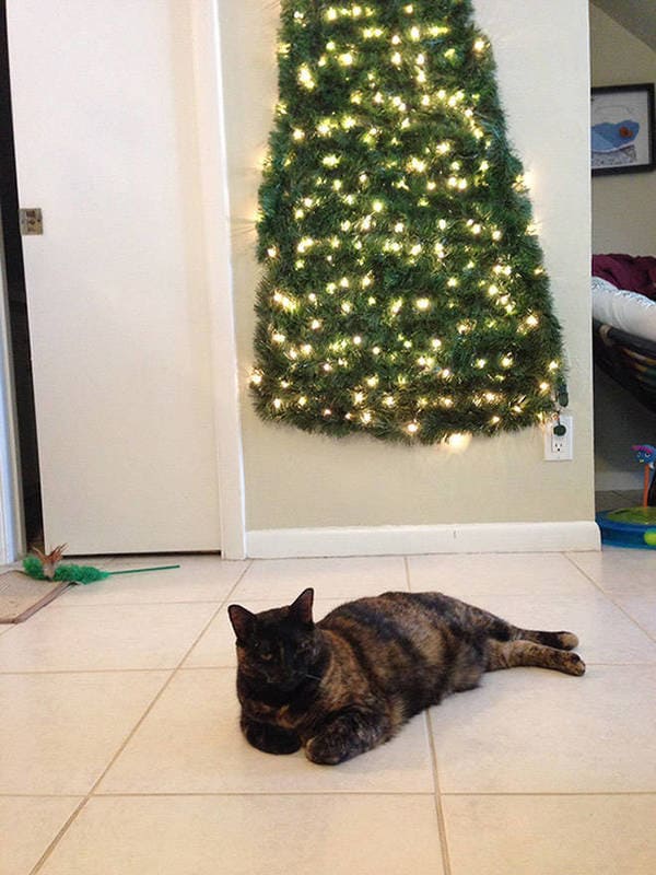 dog proof tree, cat proof tree, Christmas tree protect from pets