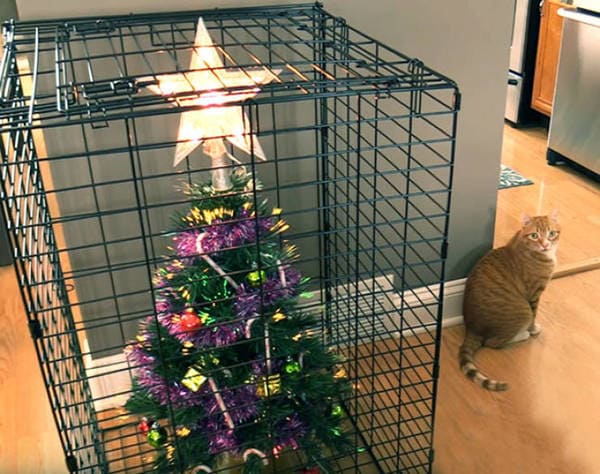 dog proof tree, cat proof tree, Christmas tree protect from pets