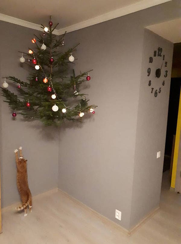 dog proof tree, cat proof tree, Christmas tree protect from pets