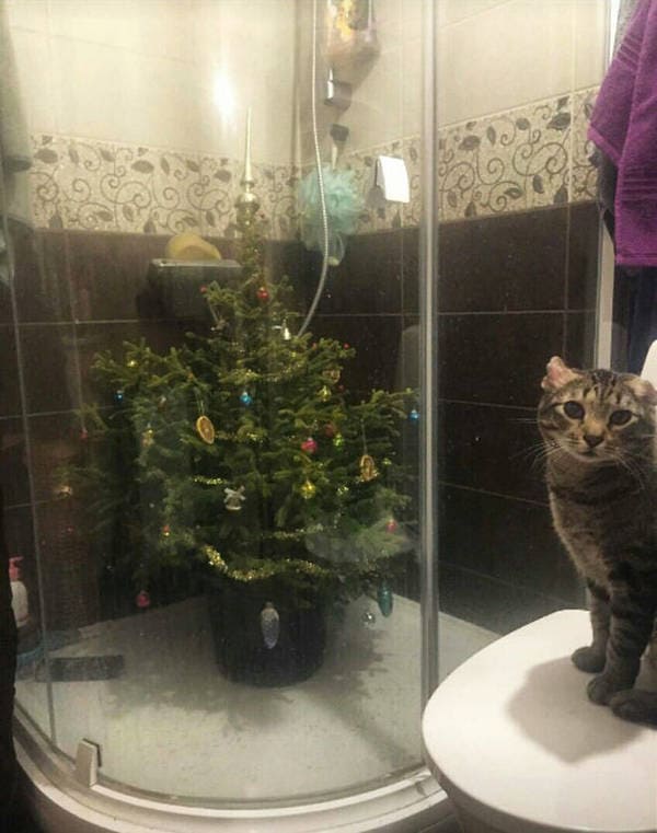dog proof tree, cat proof tree, Christmas tree protect from pets