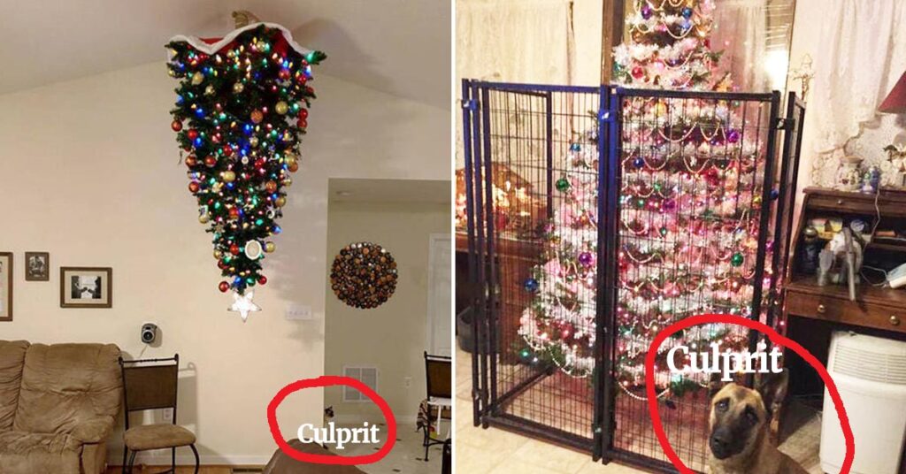 25 Ways To Save Your Christmas Tree From Your A-Hole Pets