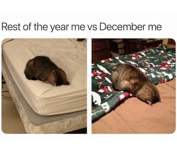 rest of the year me vs december me meme