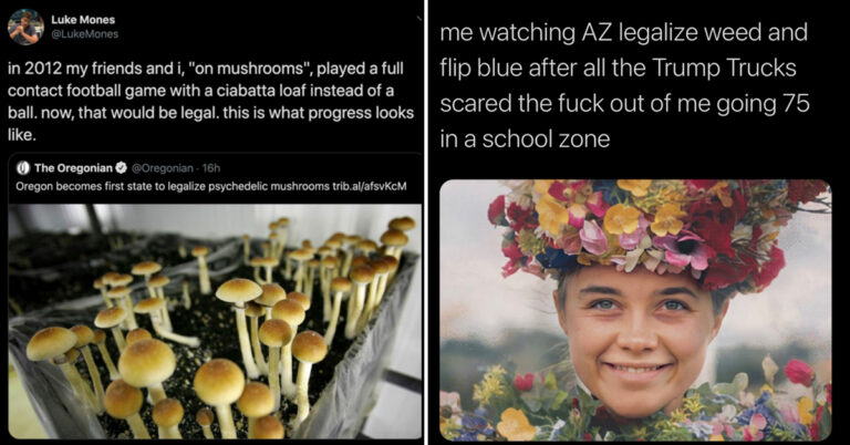 Drugs Were The Undisputed Winner Of The 2020 Election (20 Tweets)