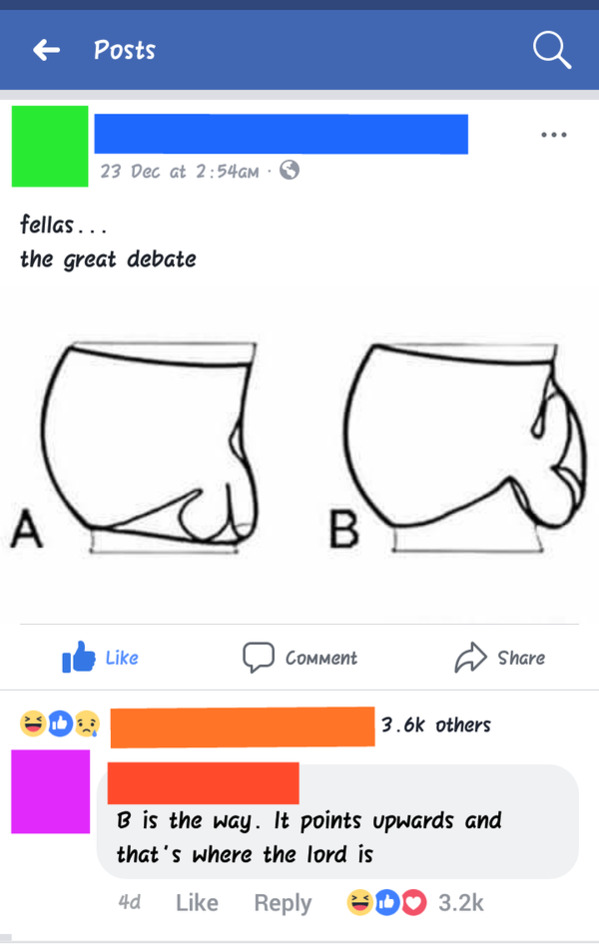 drawing of male genitals flipped up or flipped down, text says fellas the great debate, Funny Facebook status