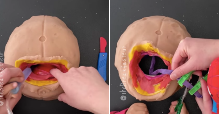 Mom Gets Dragged For Teaching Son About C-Section With Play-Doh
