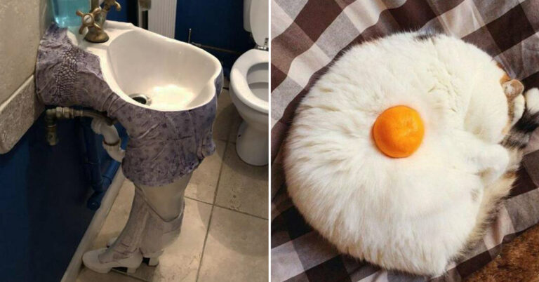 Morning Random Pic Dump (35 Pics)