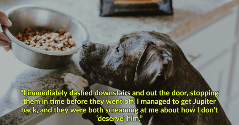 Niece Tries To Steal Dog From Aunt For Giving It Vegan Food