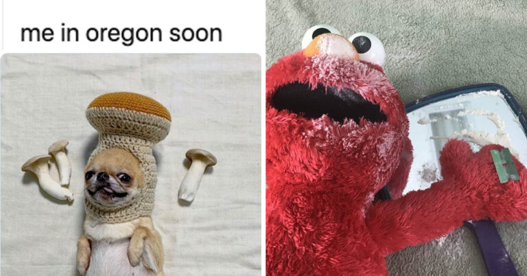 Oregon Legalized Hard Drugs And The Memes Are Lit (21 Memes)