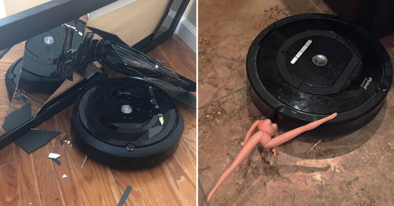 People Are Sharing Their Funniest Roomba Fails (35 Pics)