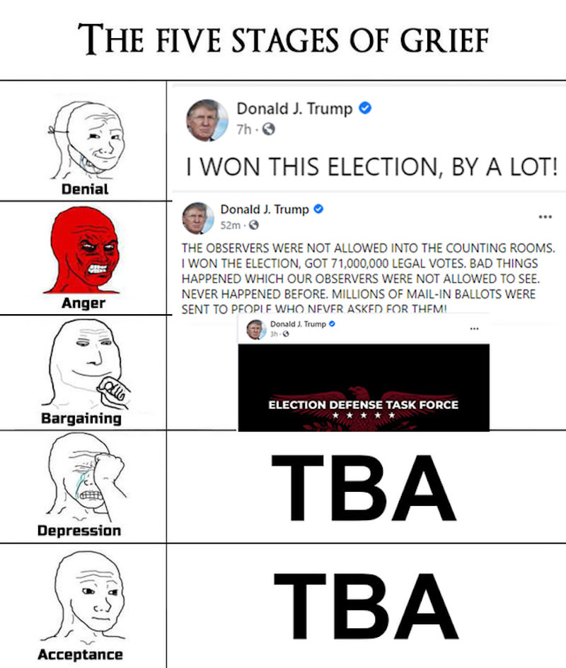 trump concede election, trump election meme, trump concede meme, trump concede, trump 2020 meme