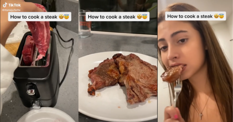 Woman Cooks Steak In A Toaster, Enrages TikTok