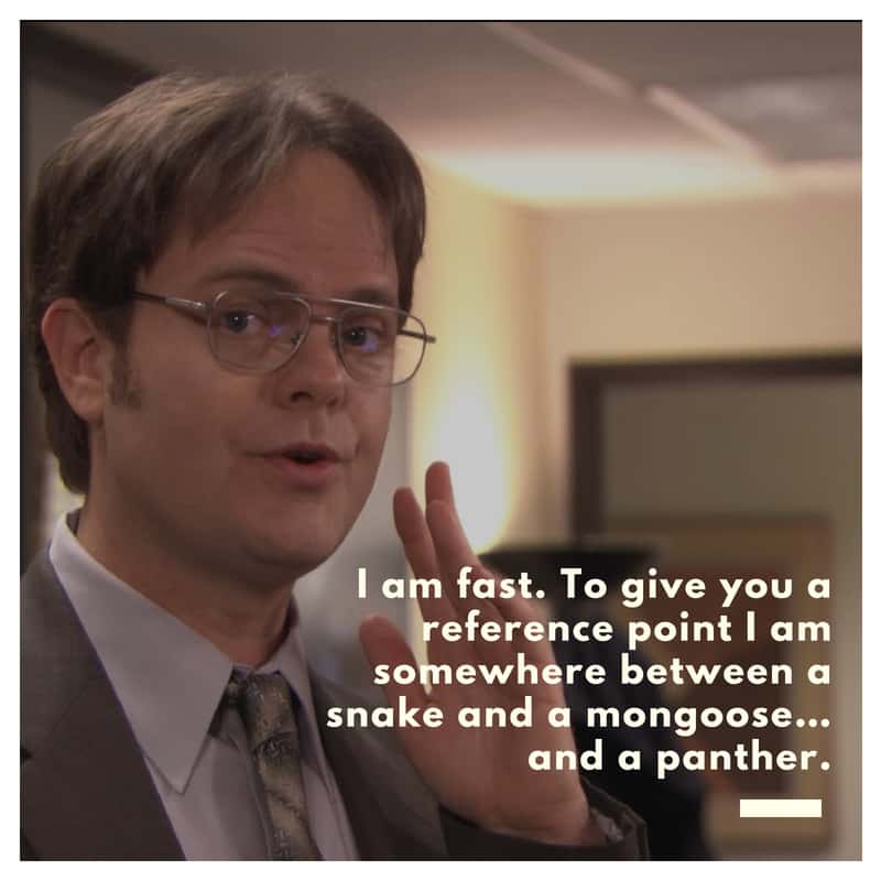 “I’m fast. To give you a reference point. I’m somewhere between a snake and a mongoose. And a panther.” — Dwight Schrute