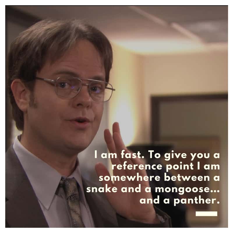 the office quotes dwight