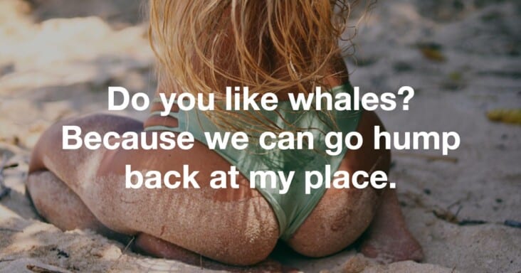 dirty pick up lines - do you like whales