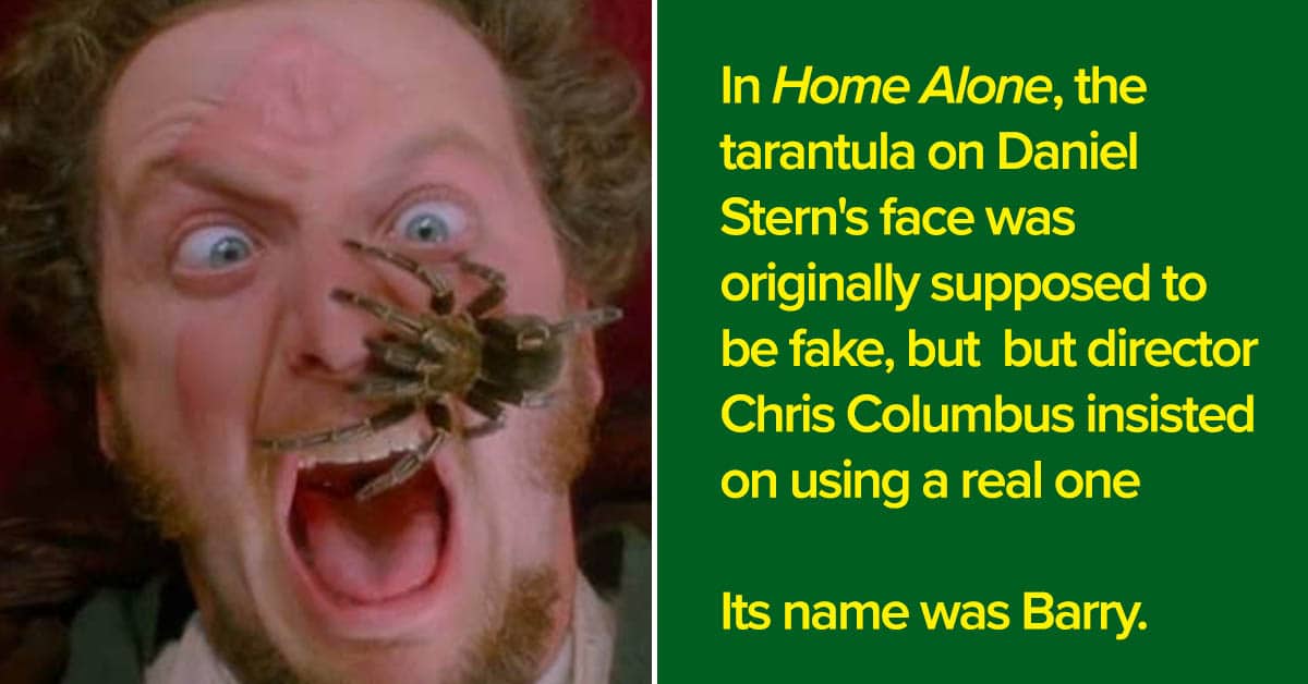 Home Alone Facts, 30 things to know about the Christmas movie