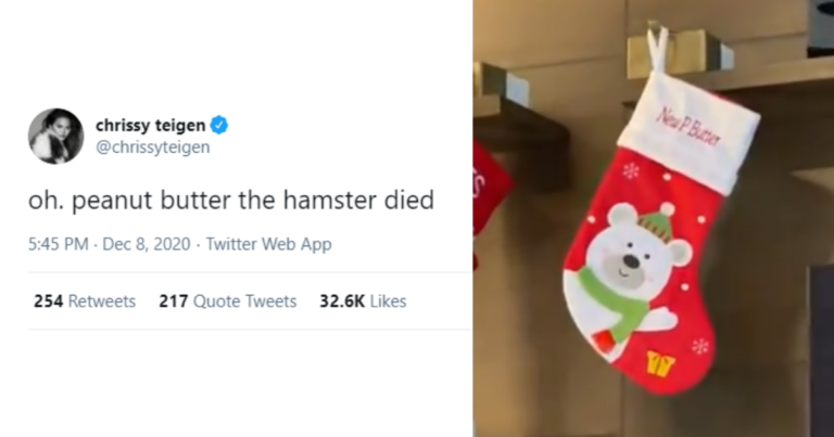Chrissy Teigen Shares The New Family Hamster’s Hilarious Name After Breaking News The Last One Died