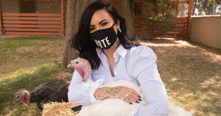 Demi Lovato Faces Backlash For Petting Turkeys Before Roasting Her Own On Thanksgiving