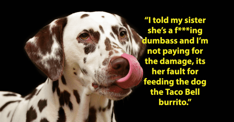 Woman’s Sister Feeds Dog Taco Bell And Is Shocked When The Dog Craps All Over Her Gucci Sweater