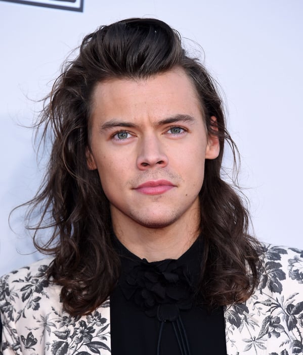 Celebrity weird facts, strange true stories about celebs, celeb facts that will make you rethink them forever, harry styles long hair