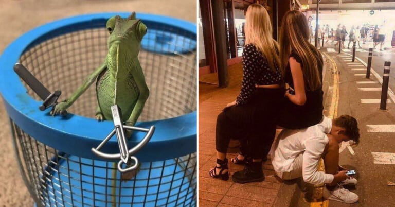 Morning Random Pic Dump (35 Pics)