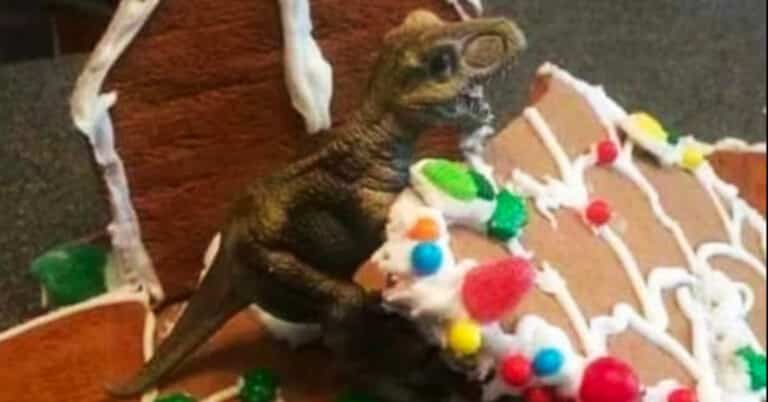 Morning Random Pic Dump (35 Pics)