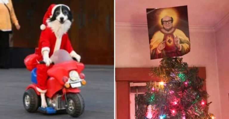 Morning Random Pic Dump (35 Pics)