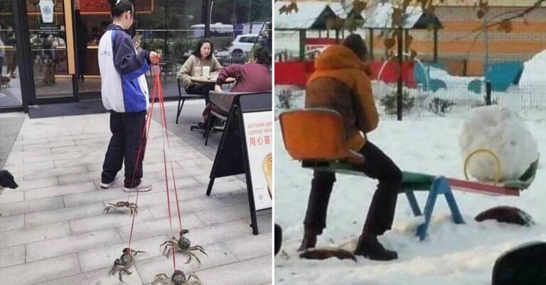 Morning Random Pic Dump (35 Pics)