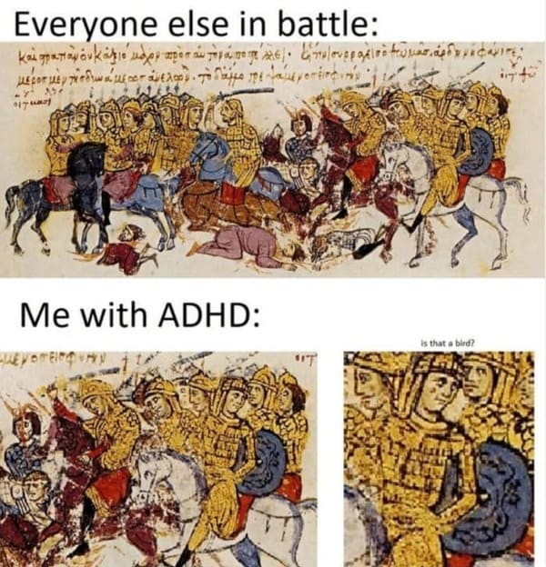 ADHD Meme - everyone me is that bird