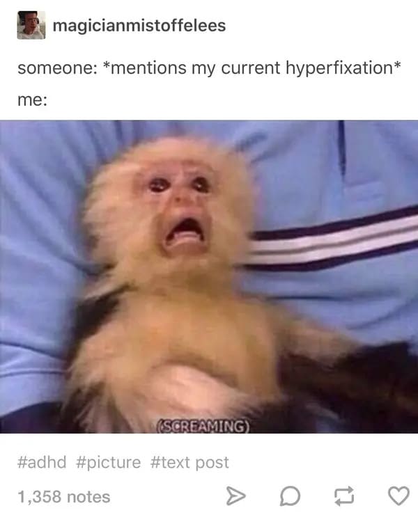 ADHD Meme - someone mentions my current hyperfixation